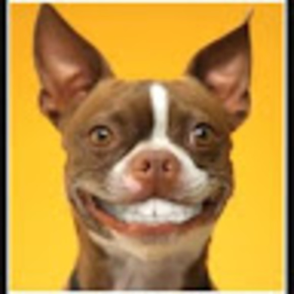 smiley_dog17